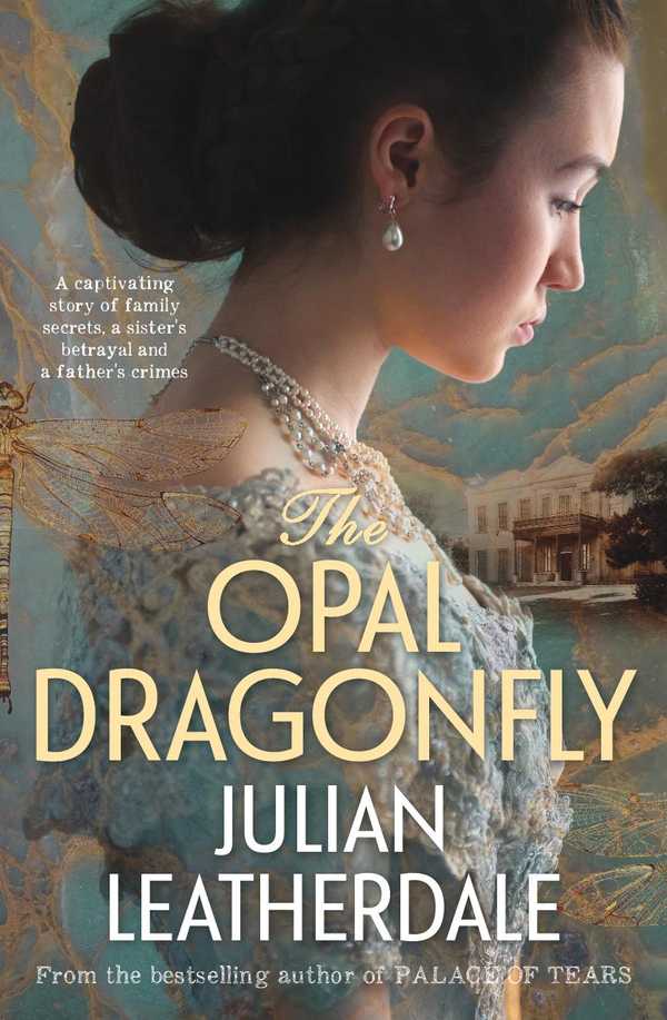 The opal dragonfly_cover2-page-001.jpg